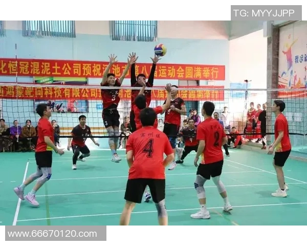 广州排球队领跑最新排球配合TOP10展现团队默契与实力